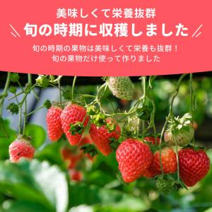 【選べる3袋】赤ちゃん 子どものおやつ 無添加...の詳細画像4