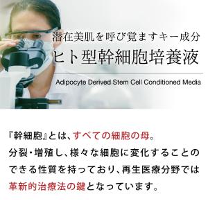 【芸能人も愛用】 ヒト幹細胞 リポソーム 化粧...の詳細画像1