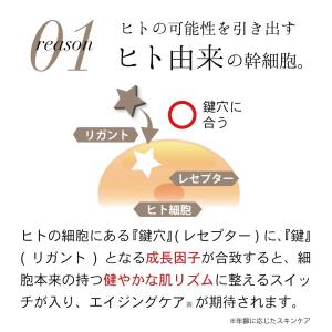 【芸能人も愛用】 ヒト幹細胞 リポソーム 化粧...の詳細画像2