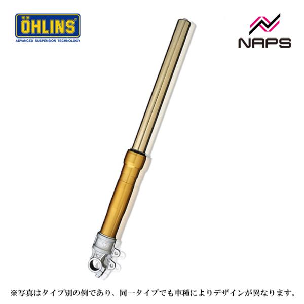 OHLINS オーリンズRWUタイプ 正立フロントフォーク ゴールド ZRX1200ダエグ