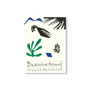 能面 : 美・形・用 中村保雄 著 河原書店 1996年3月 : 株式会社Wit