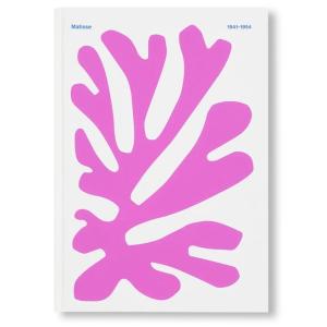 COLOUR UNBOUND: HENRI MATISSE 1941-1954 by Henri Matisse