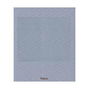 小島康敬 　TOKYO　【サイン入 / Signed】