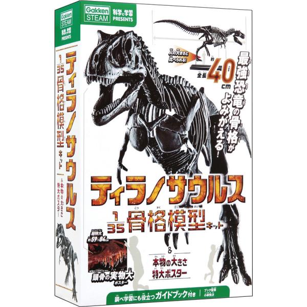 ティラノサウルス 1/35 骨格模型キット ＆ 本物の大きさ特大ポスター