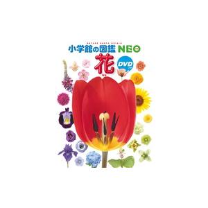 小学館の図鑑NEO 花 DVDつき