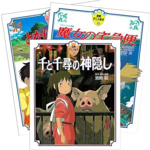 難関物理　冬期・夏期セット 駿台 物理総合研究 -発展問題の完全攻略・夏/冬編- テキスト