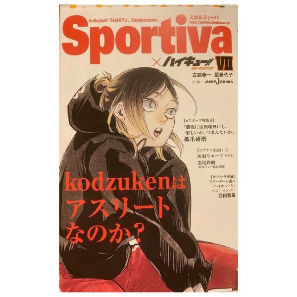 Sportiva (スポルティーバ) コラボ全面・両面オビ ハイキュー!! ショウセツバン!! 7巻...