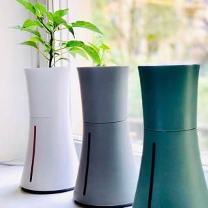 水耕栽培キット ボタニアムの商品画像