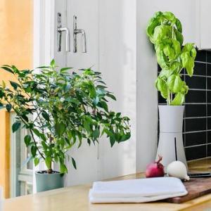 水耕栽培キット ボタニアムの詳細画像2