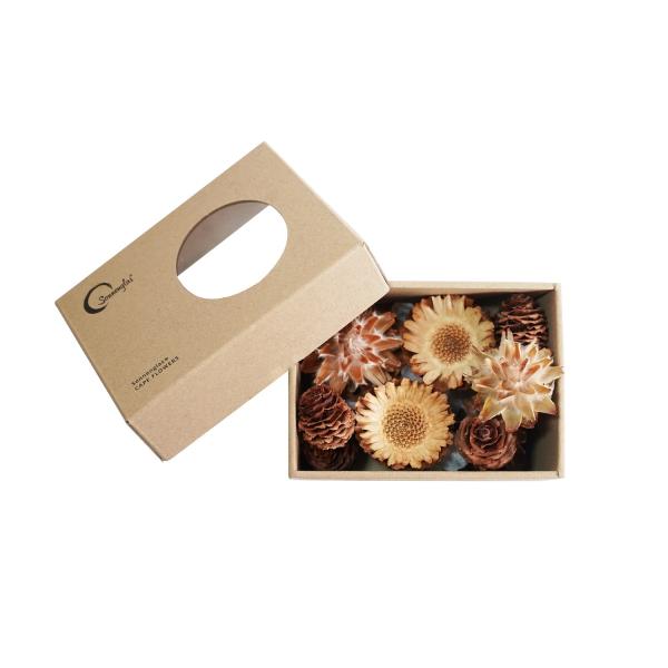 ＣＩＮＧＡ　ケープフラワー　ＳＯＮＮＥＮＧＬＡＳ