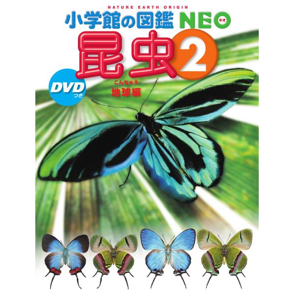 小学館の図鑑NEO 昆虫2 DVDつき 地球編　
