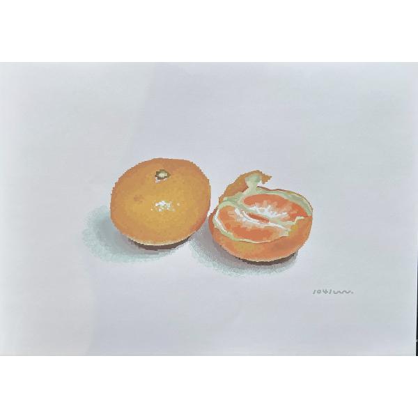 A4ポスター 『みかん』 1041uuu