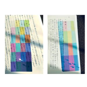 『魚しおりセット』 1041uuu