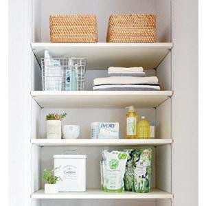 南海プライウッド　可動棚 南海プライウッド 【ポイント10倍】ランドリー可動棚セット LT2P