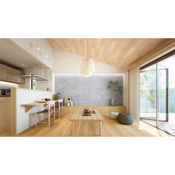 DAIKEN 調湿・消臭建材 エアセレーノ TW0001 天井 壁 Airsereno 大建