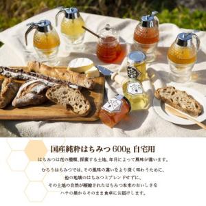 選べる国産純粋はちみつ600g 蜂蜜 自宅用 ...の詳細画像1