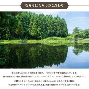 選べる国産純粋はちみつ600g 蜂蜜 自宅用 ...の詳細画像3