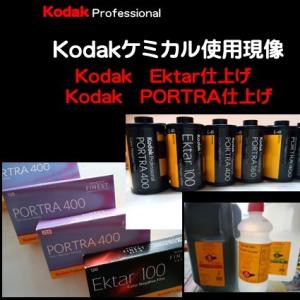 ネガフィルム ネガ現像 同時プリント+CDデー...の詳細画像5