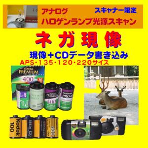 ネガフィルム ネガ現像 +CDデータ書き込み(ハ...の商品画像