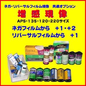 オプション　ネガフィルム 増感現像 　1本から