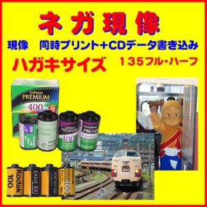 ネガフィルム　ネガ現像 　同時プリント　ＣＤデータ書き込み　ＦＵＪＩ　　Kodak　ＡＧＦＡ　Ｌｏｍｏ　ハガキサイズ　1本から
