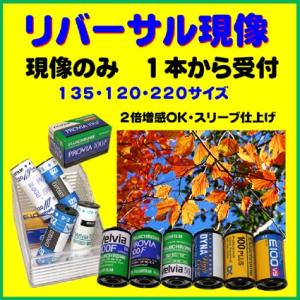 リバーサルフィルム　リバーサル現像　　ＦＵＪＩＣＨＲＯＭＥ　スリーブ仕上げ　1本から