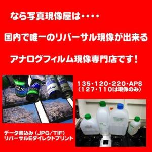 リバーサルフィルム リバーサル現像+CDデータ...の詳細画像1