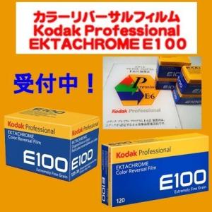 リバーサルフィルム リバーサル現像+CDデータ...の詳細画像3