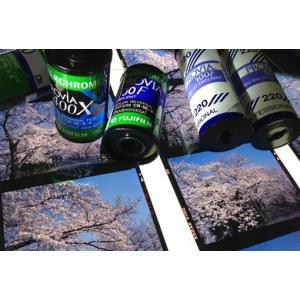 リバーサルフィルム リバーサル現像+CDデータ...の詳細画像5