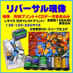 1981年 ビンテージフィルム　FUJICHROME 100 リバーサル36枚 1981年 ビンテージフィルム FUJICHROME 100 リバーサル36枚