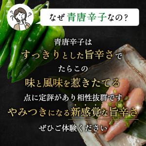 明太子 青唐辛子明太子 切子 500g 中辛 ...の詳細画像2