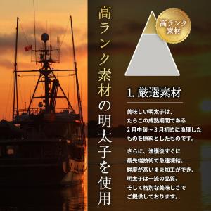 明太子 青唐辛子明太子 切子 500g 中辛 ...の詳細画像5