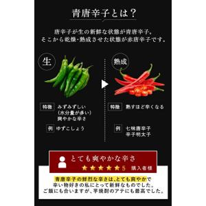 明太子 辛さ3種食べ比べセット 600g(20...の詳細画像5