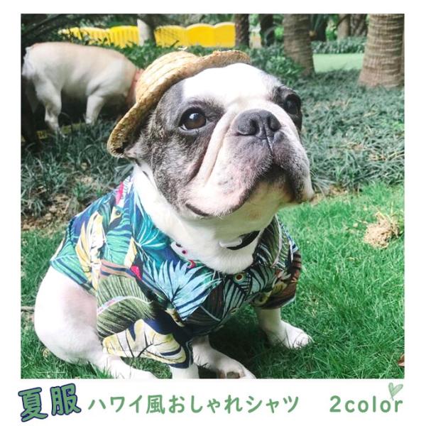 【SALE セール】 犬服 犬の服 犬 春夏 夏用 シャツ トップス ペット用品 クール ペットウェ...