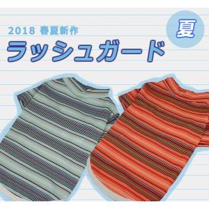 セレブなオーダーメイド犬服ミントブルードレス : オーダーメイド