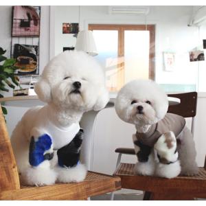 kiki flower cropped top 犬の服 犬服 新作 夏 ショート丈 クロップド