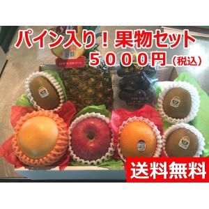 パイン 果物詰合せ フルーツ セット 送料無料...
