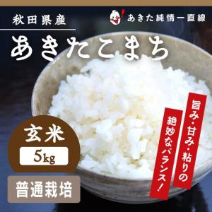 【令和5年産】《普通栽培》《玄米》秋田県産 あきたこまち 5kg 【生産者直送】〈三郎米〉