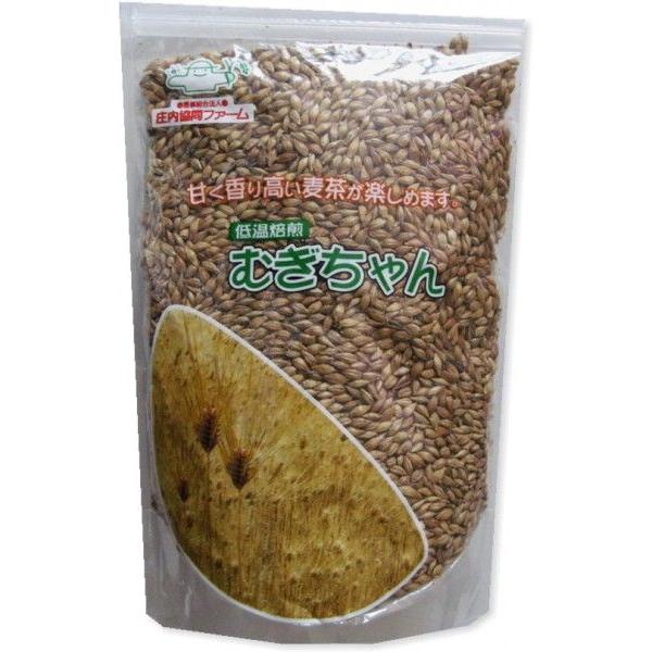 【無農薬】低温焙煎麦茶「むぎちゃん」500g