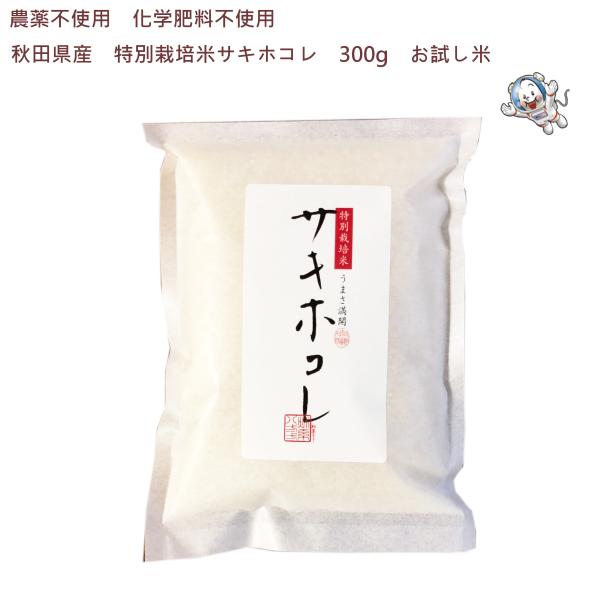 【令和5年産】《無農薬》秋田県産 特別栽培米サキホコレ 300g（2合）【生産者直送】〈お試し米〉ク...