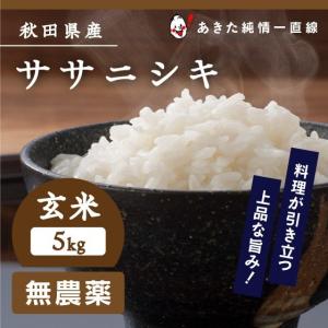 ＼数量限定で〜す／【令和6年産】《無農薬》《玄米》秋田県産 ササニシキ 5kg 【生産者直送】〈太郎米〉
