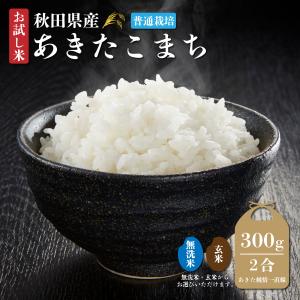【令和7年産】【送料無料】《普通栽培》秋田県産あきたこまち300ｇ(2合)お試し米【生産者直送】〈三郎米〉