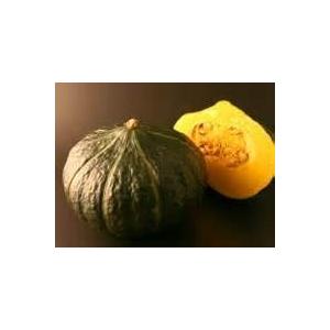 かぼちゃ　ダークホース　北海道　喜茂別産　10kg