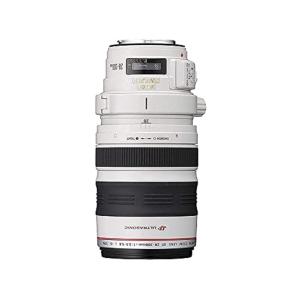 Canon 望遠ズームレンズ EF28-300mm F3.5-5.6L IS USM フルサイズ対応