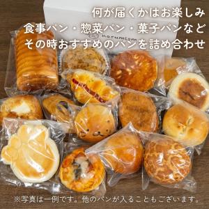 おまかせロスパンセット15〜17個入 訳あり ...の詳細画像5