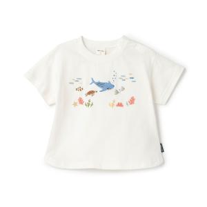 プティマイン(petit main)【接触冷感...の詳細画像5