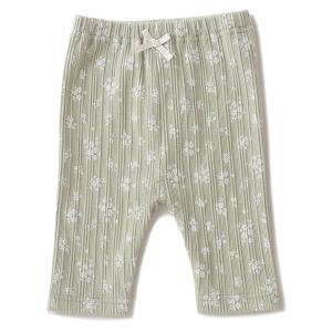 プティマイン(petit main)後ろポケットテレコレギンス