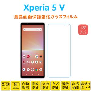 Xperia 5 V フィルム SO-53D SOG12 液晶保護フィルム 1枚入り xperia5v