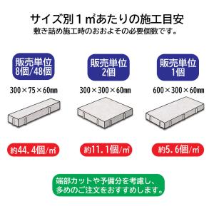 インターロッキングブロック エクレル 300×...の詳細画像2