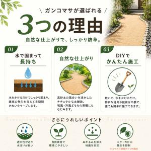 固まる土 防草 ガンコマサ 25kg 50袋 ...の詳細画像2